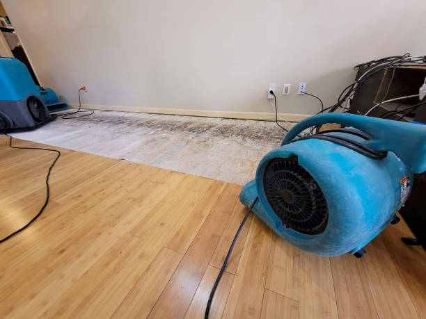 Professional Water Damage Repair technician working in Packwood, WA